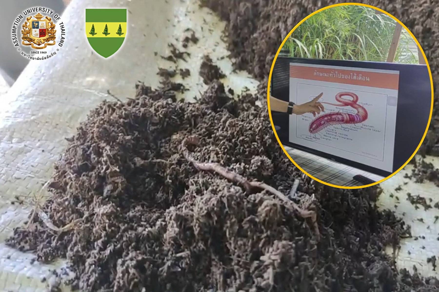 Earthworm Project for Sustainable Agriculture